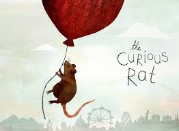 The curious rat