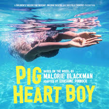 pig heart boy