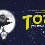 Toto the Ninja Cat
