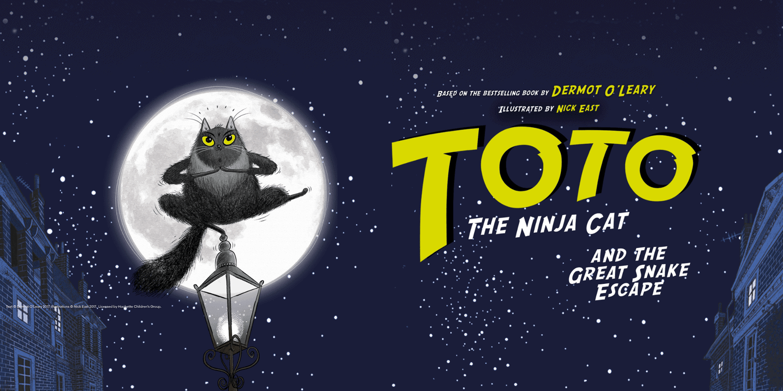 Toto the Ninja Cat